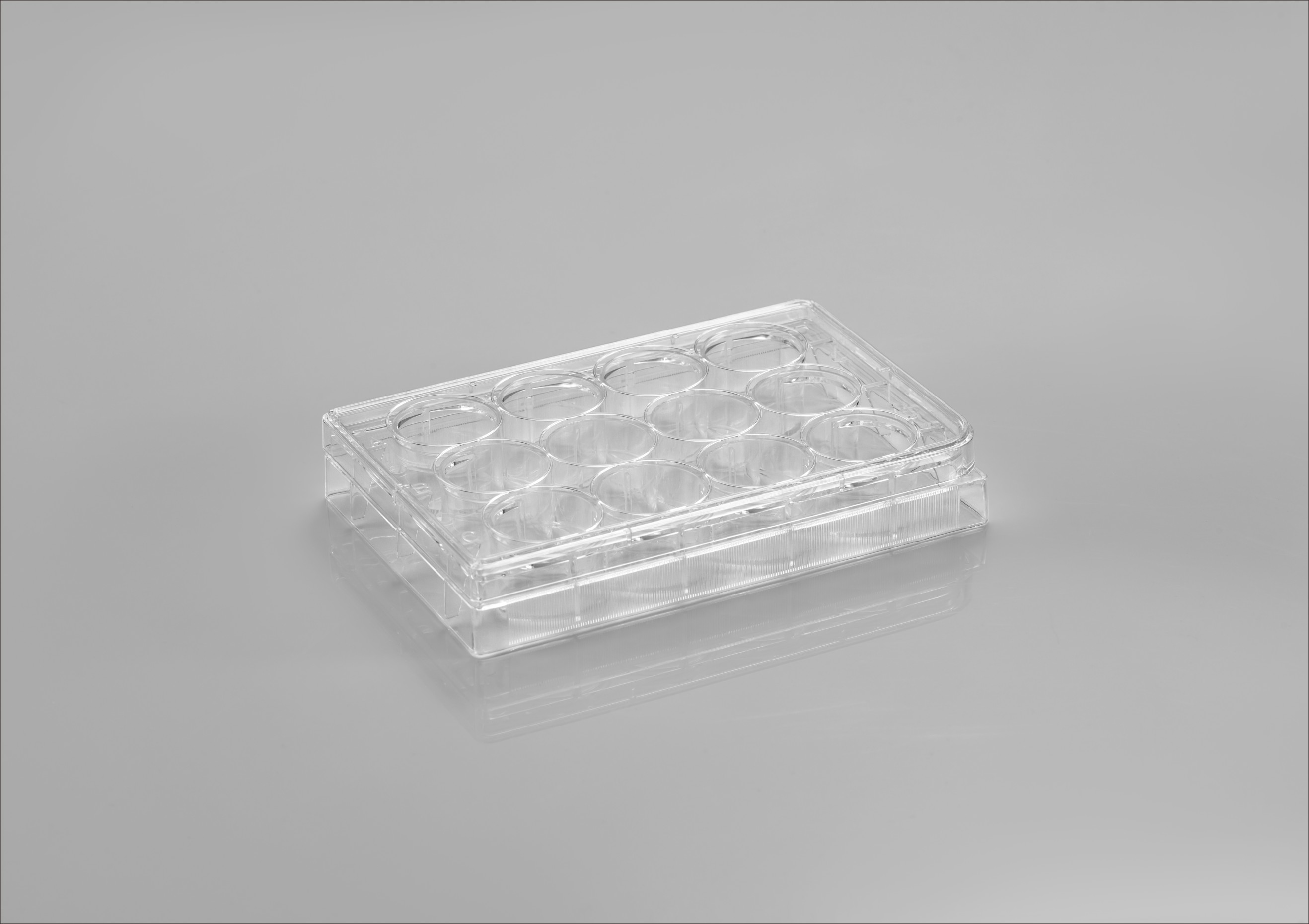CL-PP012