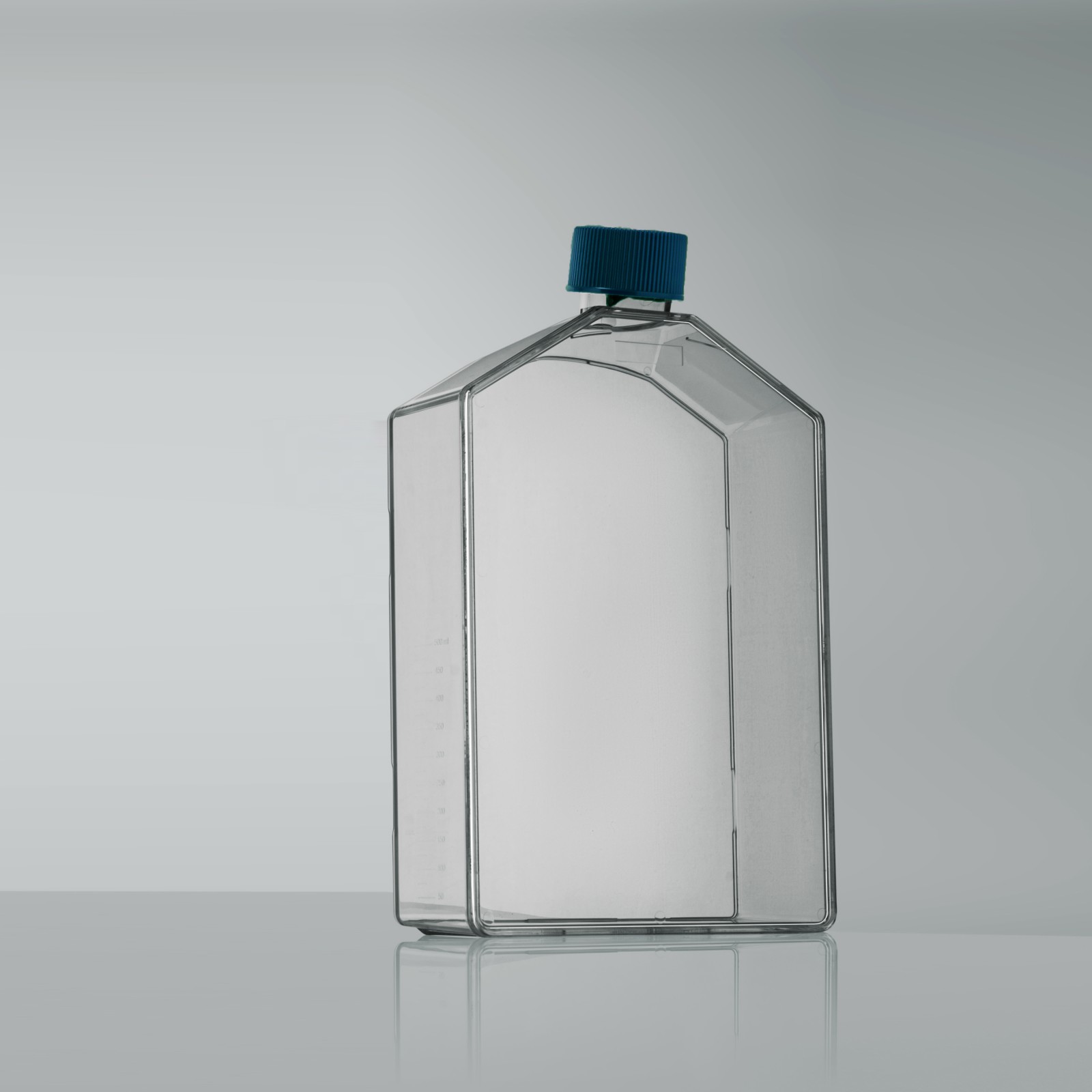 225cm²