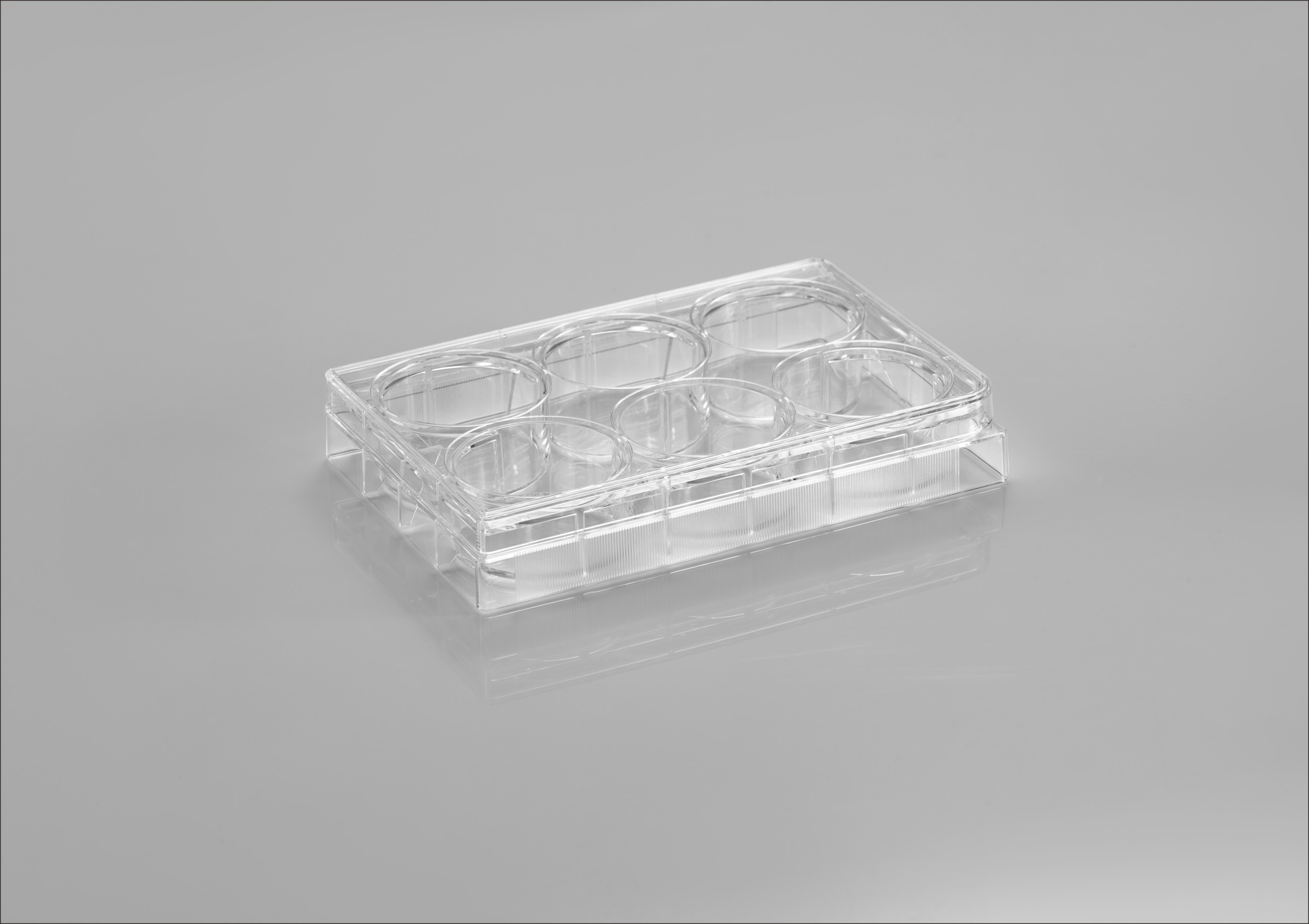 CL-PP006